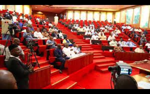 Senate amends rules, approves simple majority for electing presiding officers