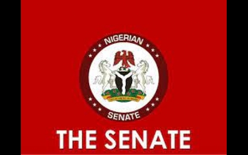Senate passes bill to amend Federal Airports Authority Act