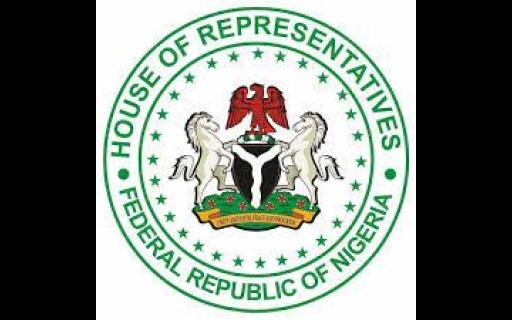 HOUSE OF REPRESENTATIVES INAUGURATES CONSTITUTION REVIEW COMMITTEE