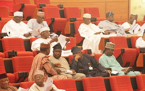 SENATE PASSES MOTIONS ON DEMISE OF ADAMU CIROMA, ALARMING HUMAN RIGHTS VIOLATION