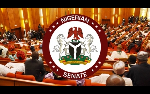 The Nigerian Senate confirms President Buhari's EFCC board nominee who 'started school before birth'